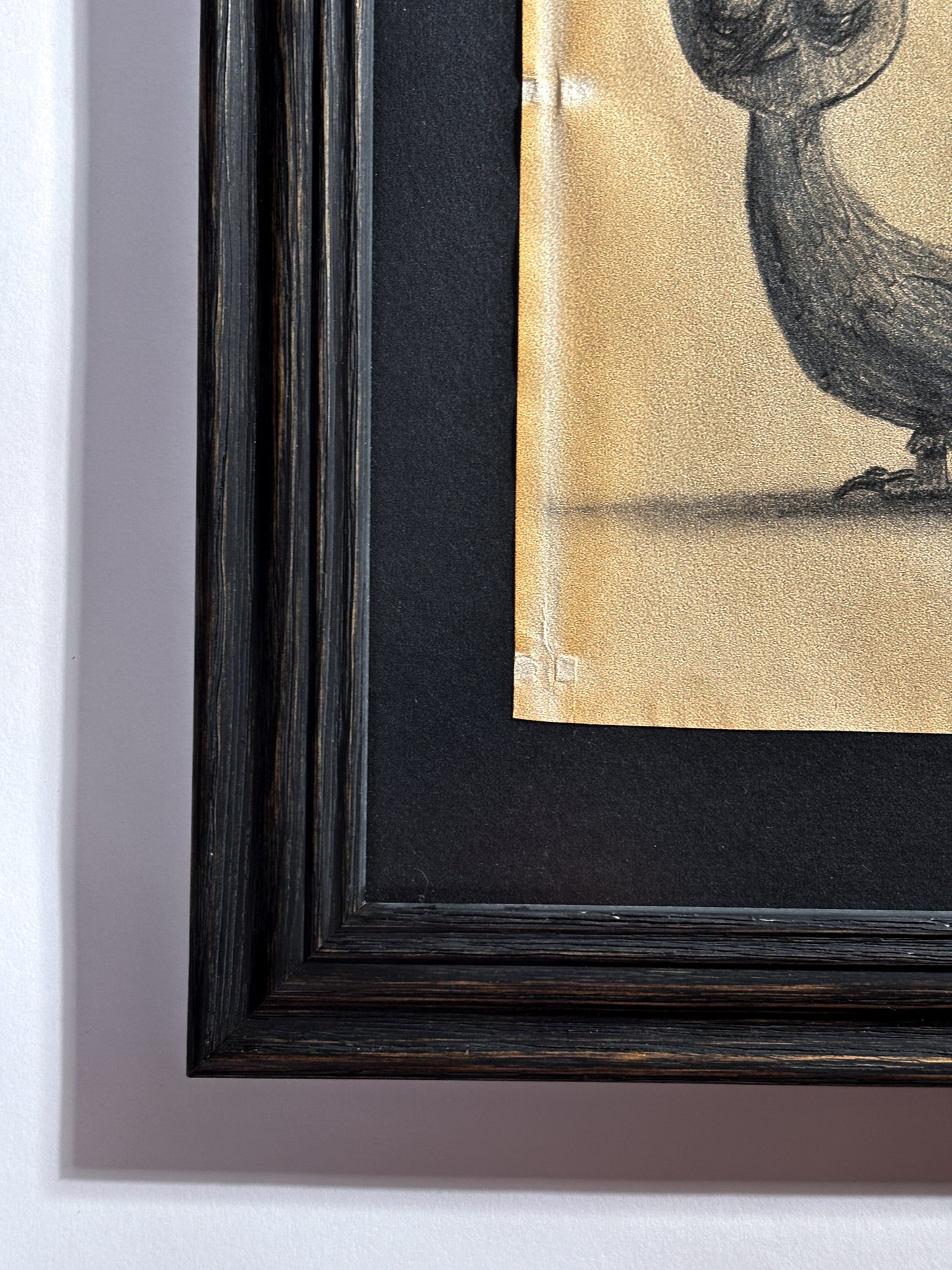 "Hornichick" — Framed Original Illustration