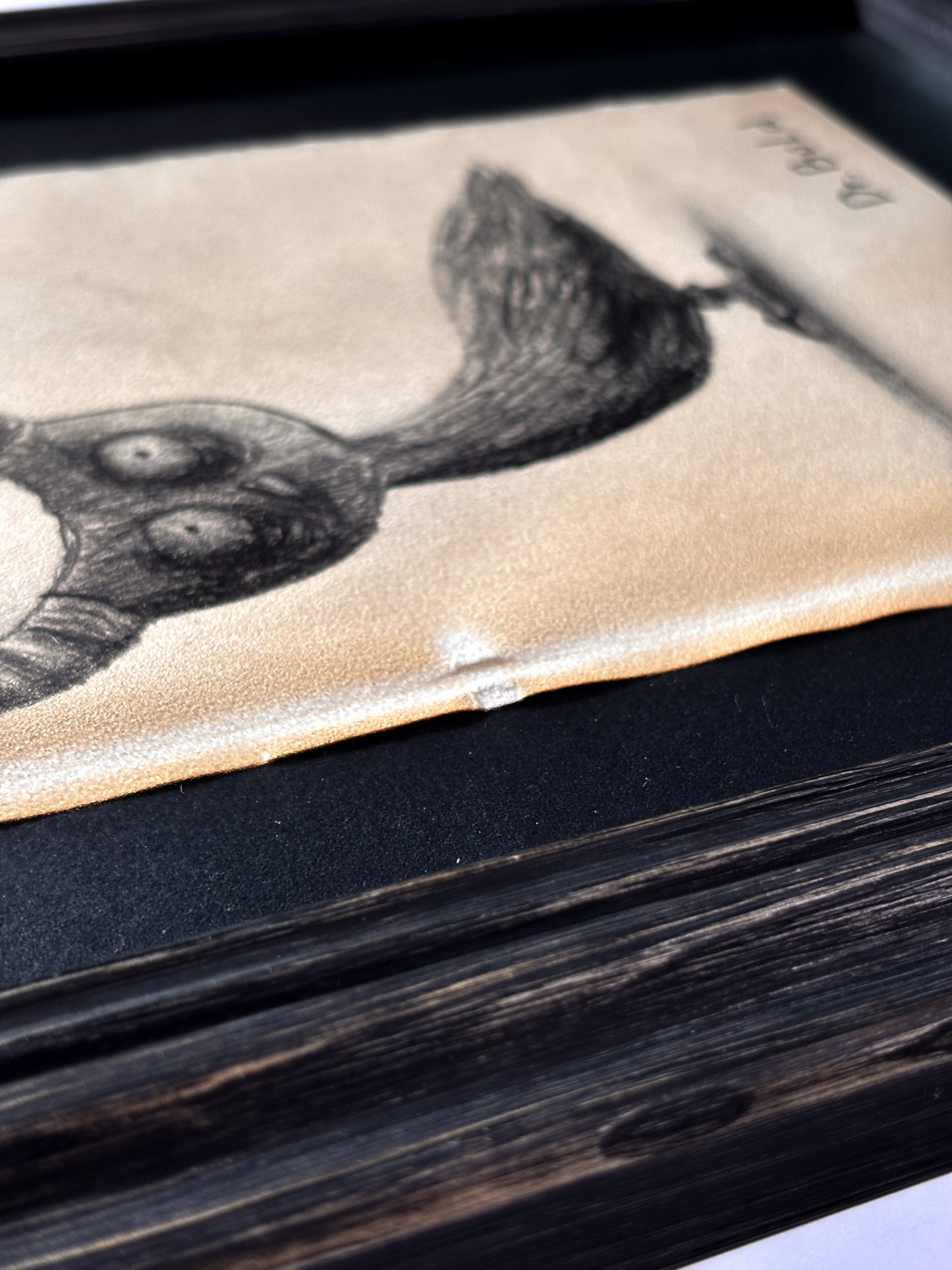 "Hornichick" — Framed Original Illustration