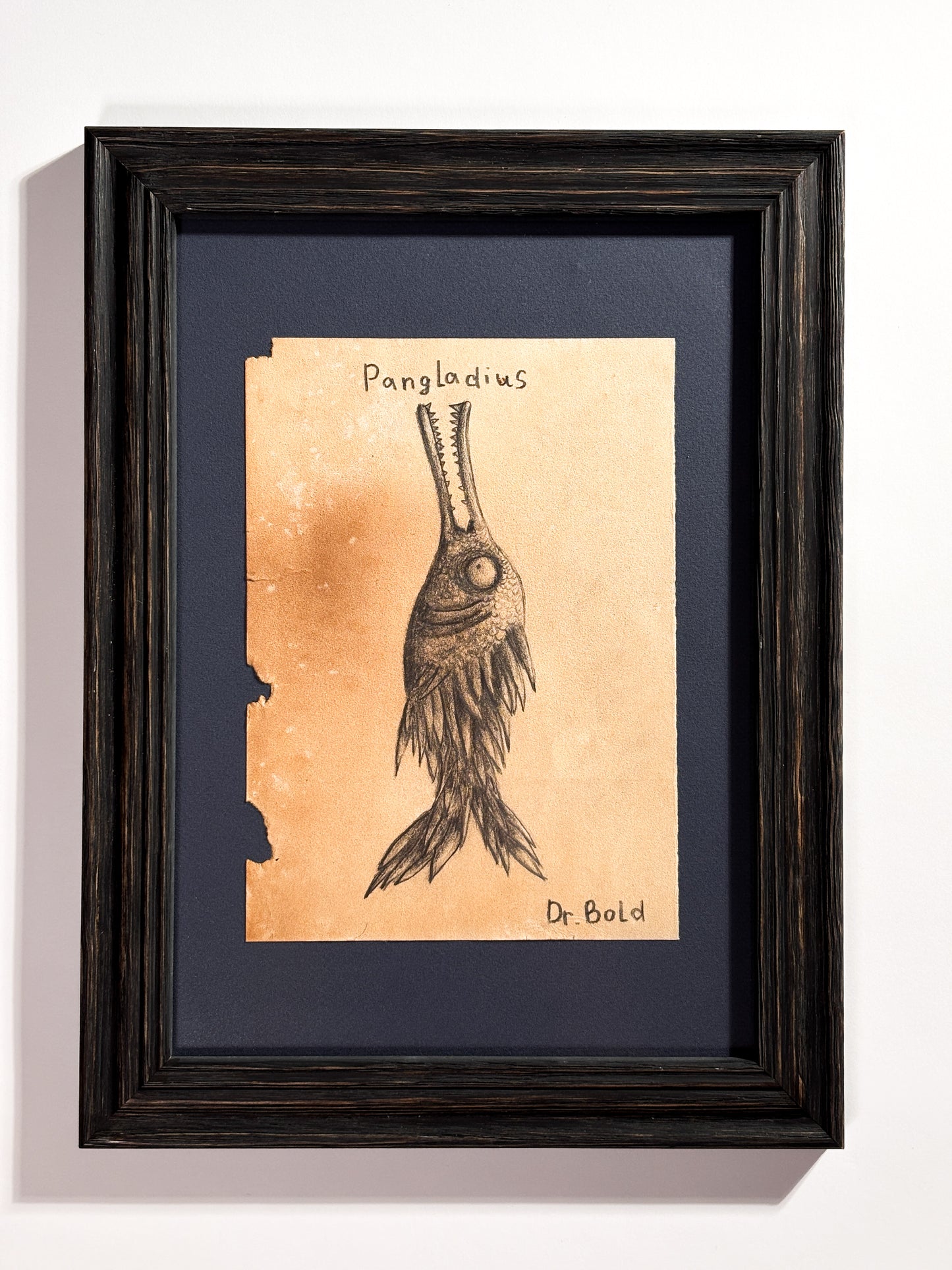 "Pangladius" — Framed Original Illustration