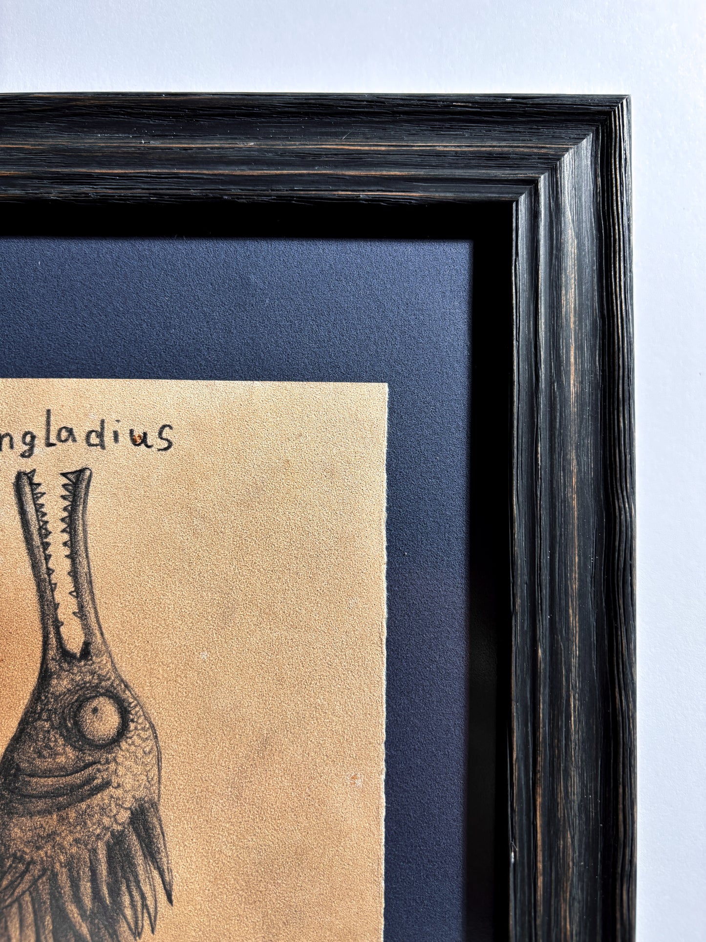 "Pangladius" — Framed Original Illustration