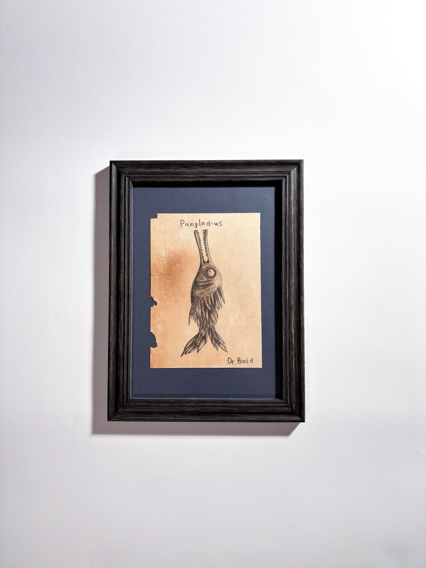 "Pangladius" — Framed Original Illustration