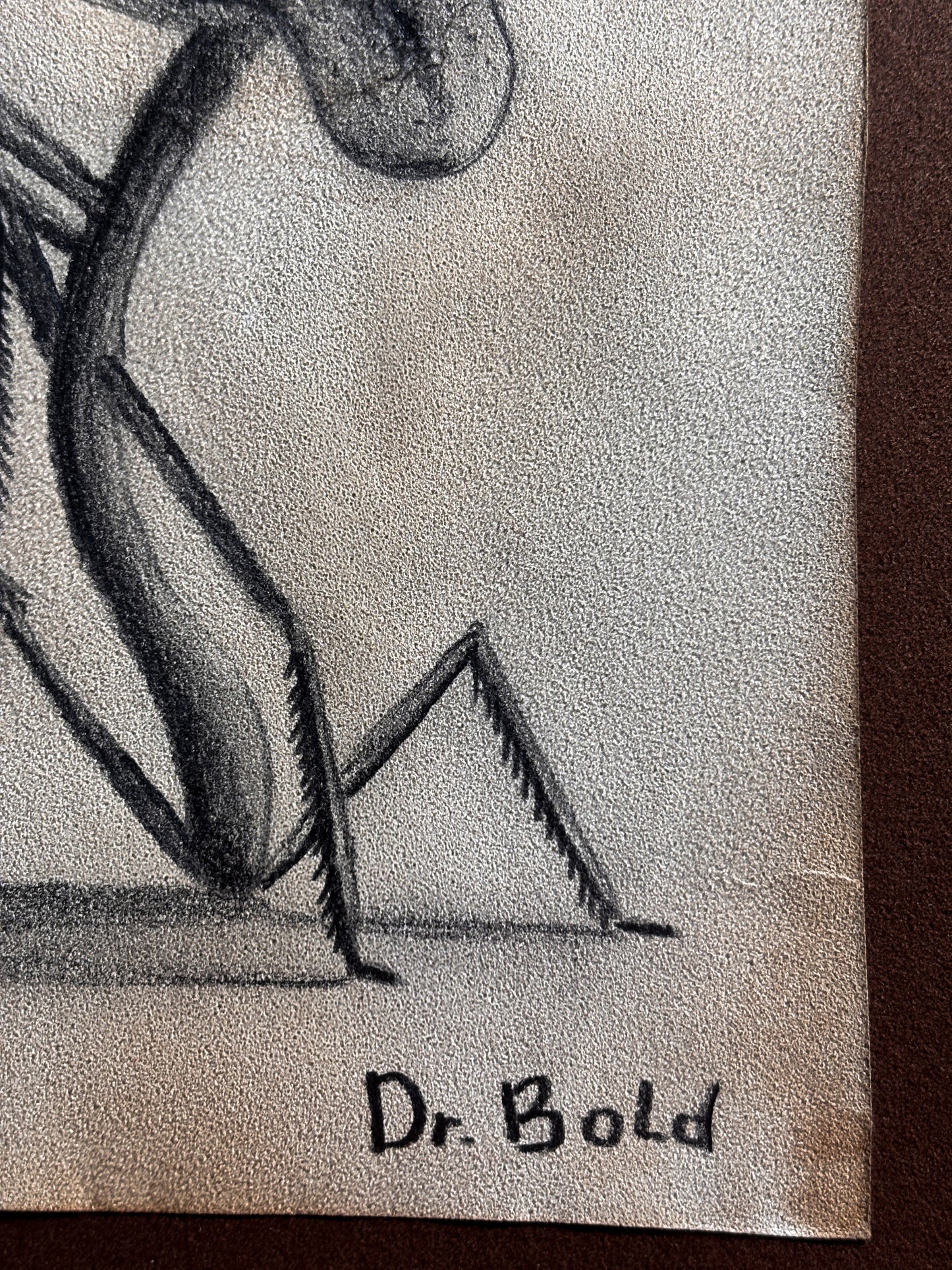 "Sticktoad" — Framed Original Illustration