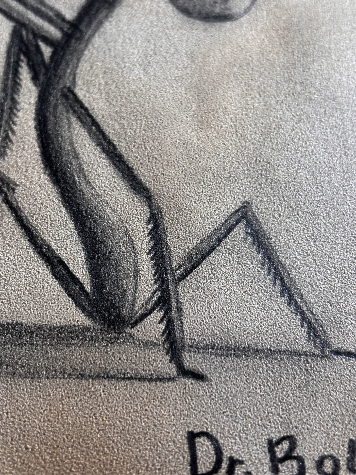 "Sticktoad" — Framed Original Illustration