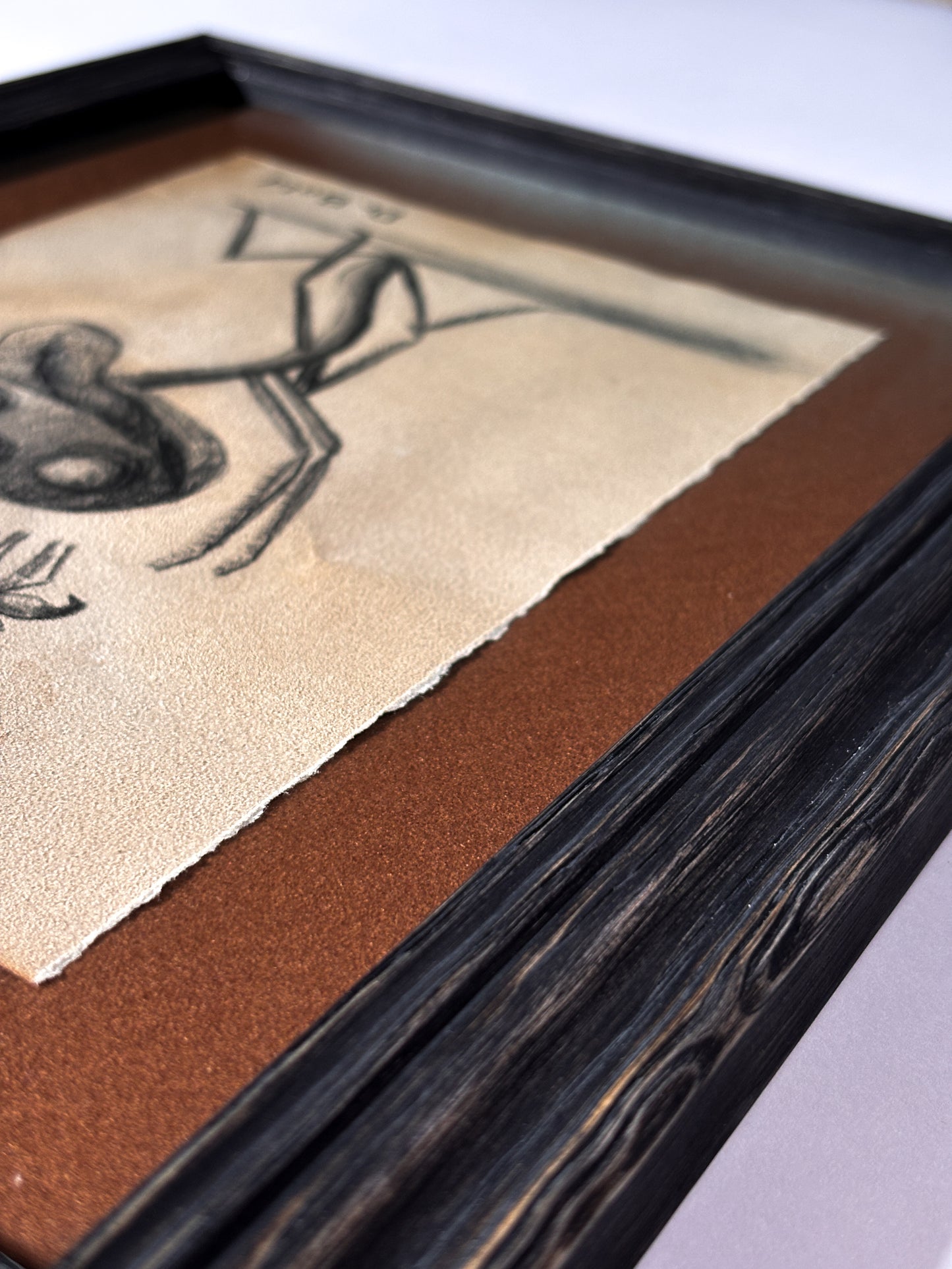 "Sticktoad" — Framed Original Illustration