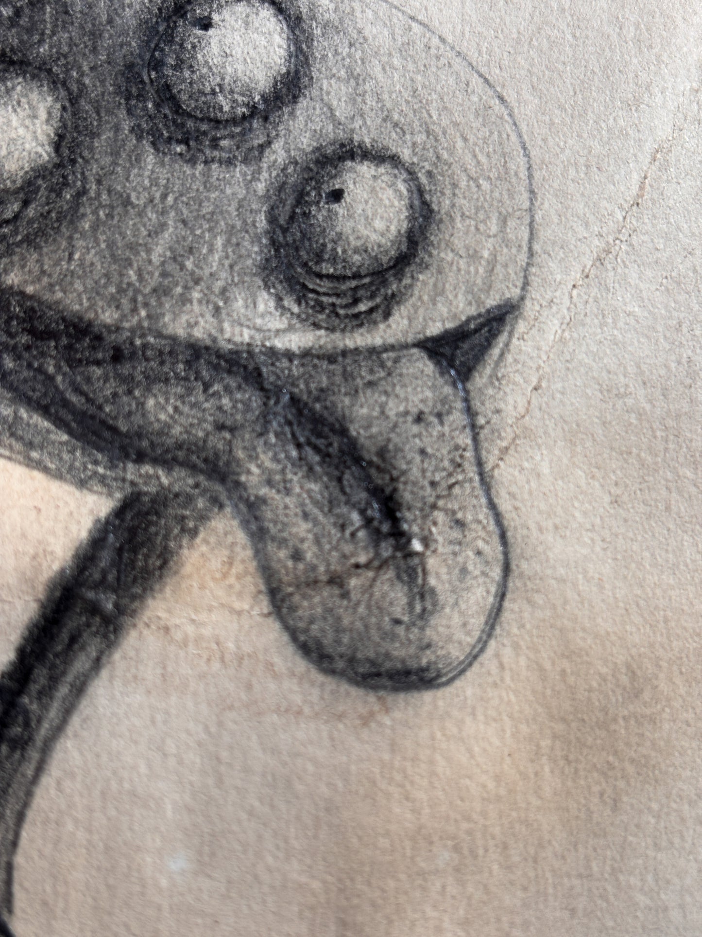 "Sticktoad" — Framed Original Illustration