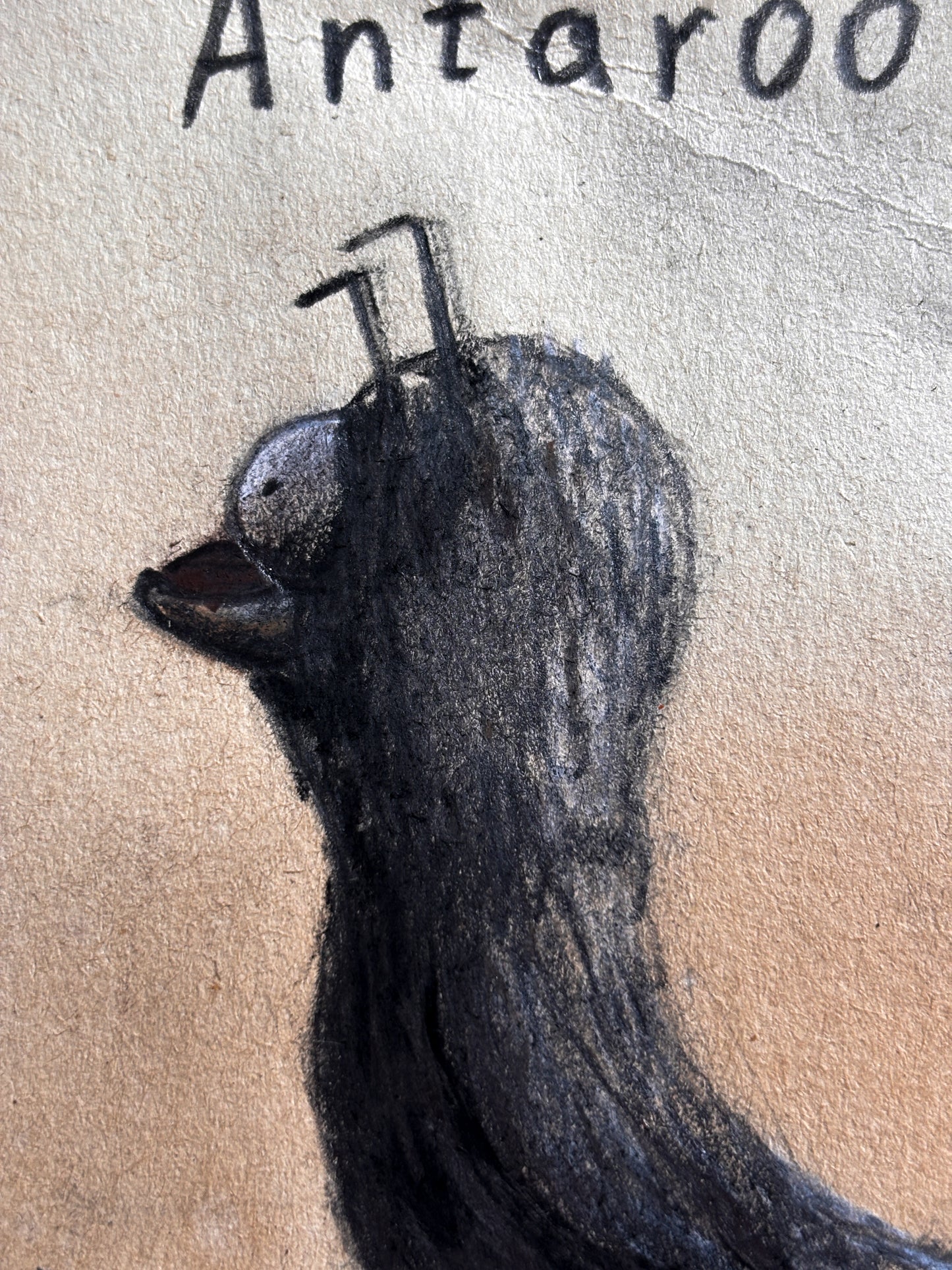 "Antaroo" — Framed Original Illustration