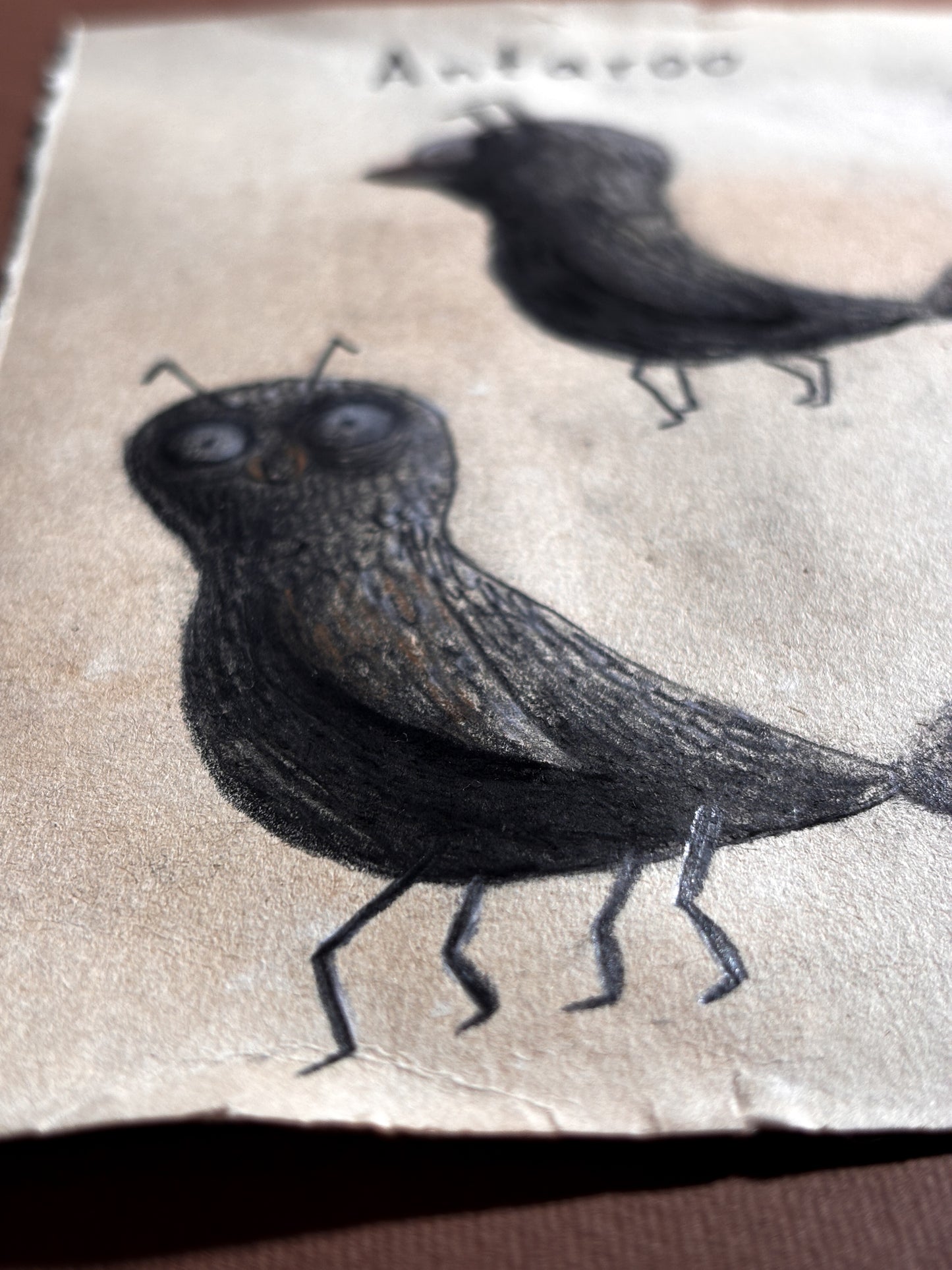 "Antaroo" — Framed Original Illustration