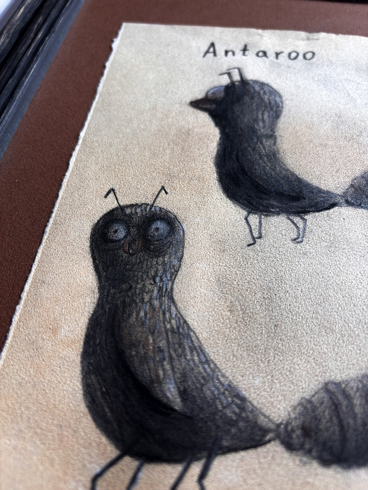 "Antaroo" — Framed Original Illustration