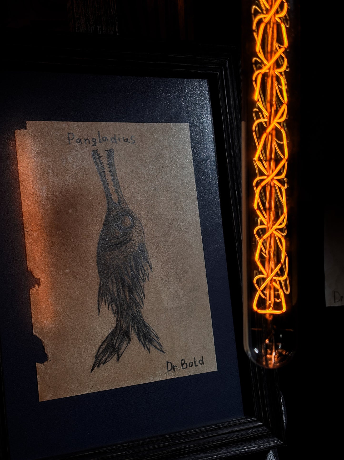 "Pangladius" — Framed Original Illustration