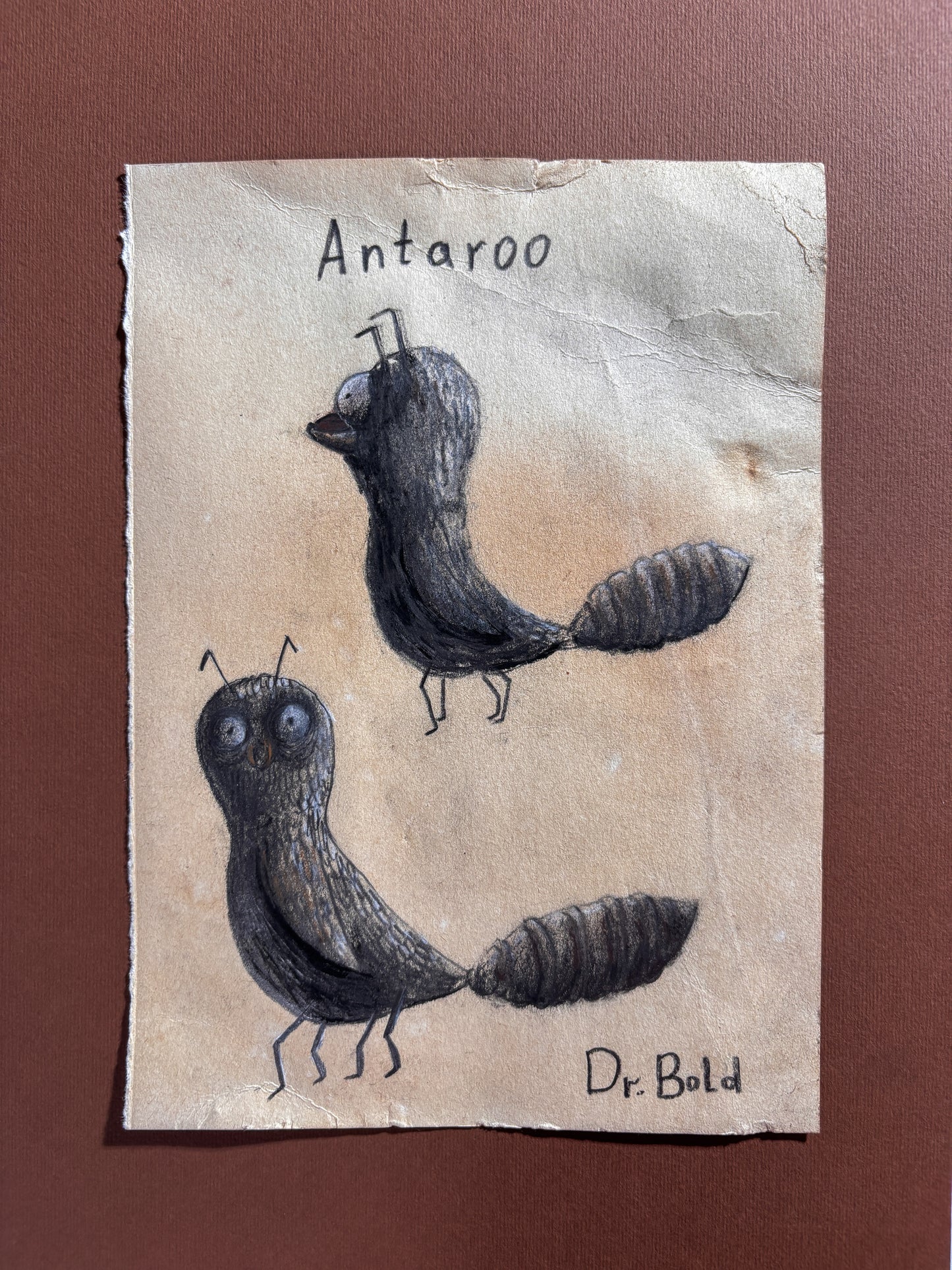 "Antaroo" — Framed Original Illustration