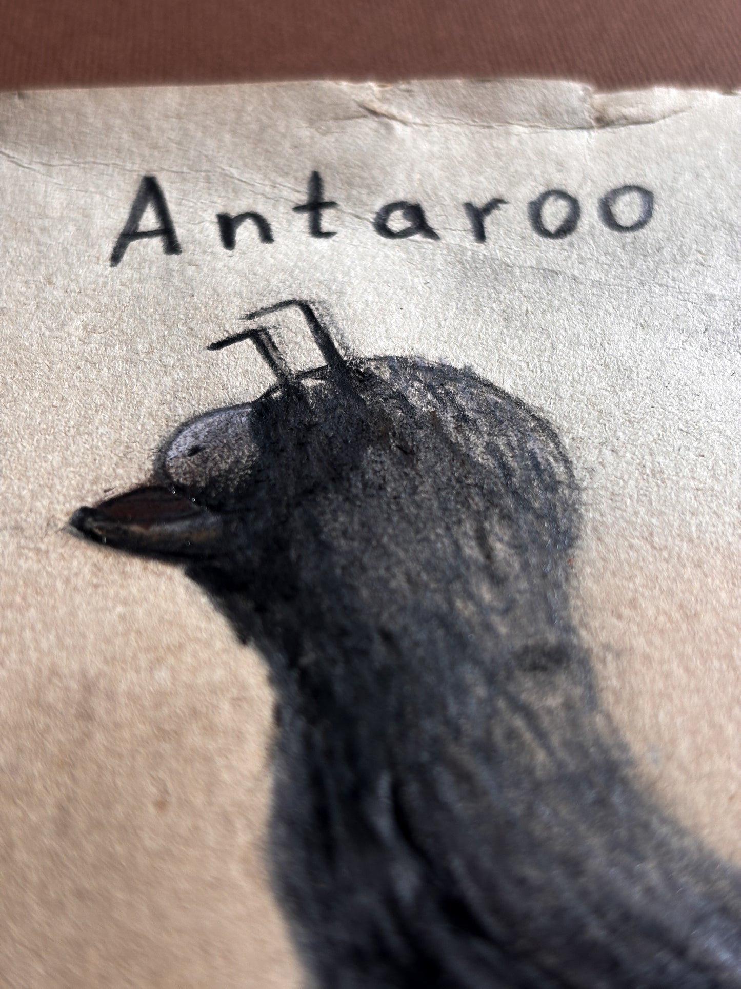 "Antaroo" — Framed Original Illustration