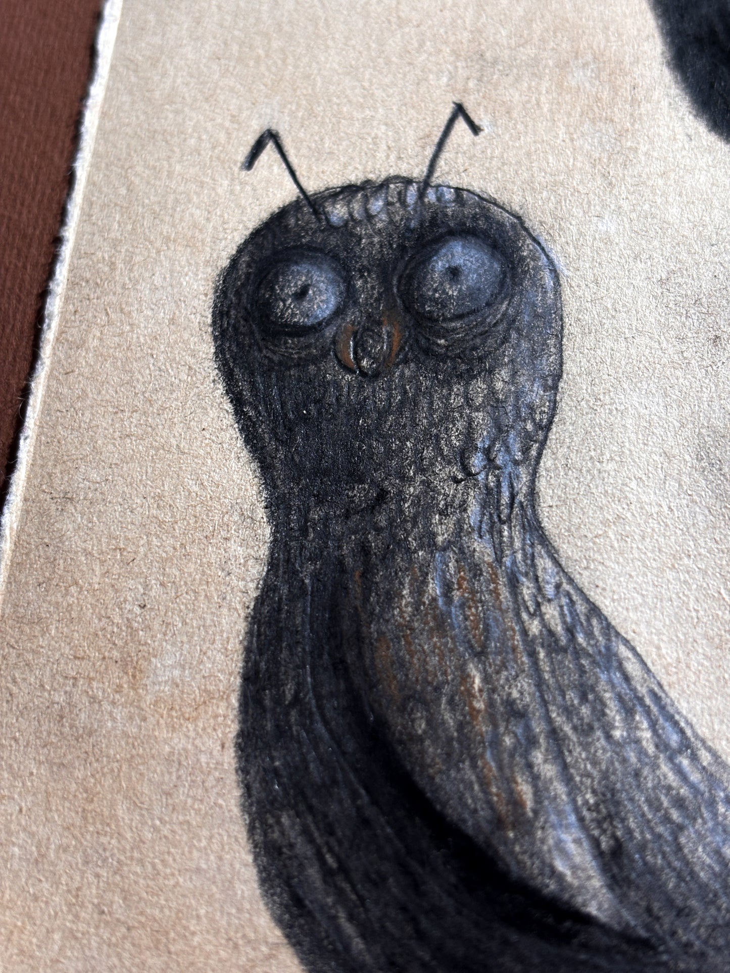 "Antaroo" — Framed Original Illustration