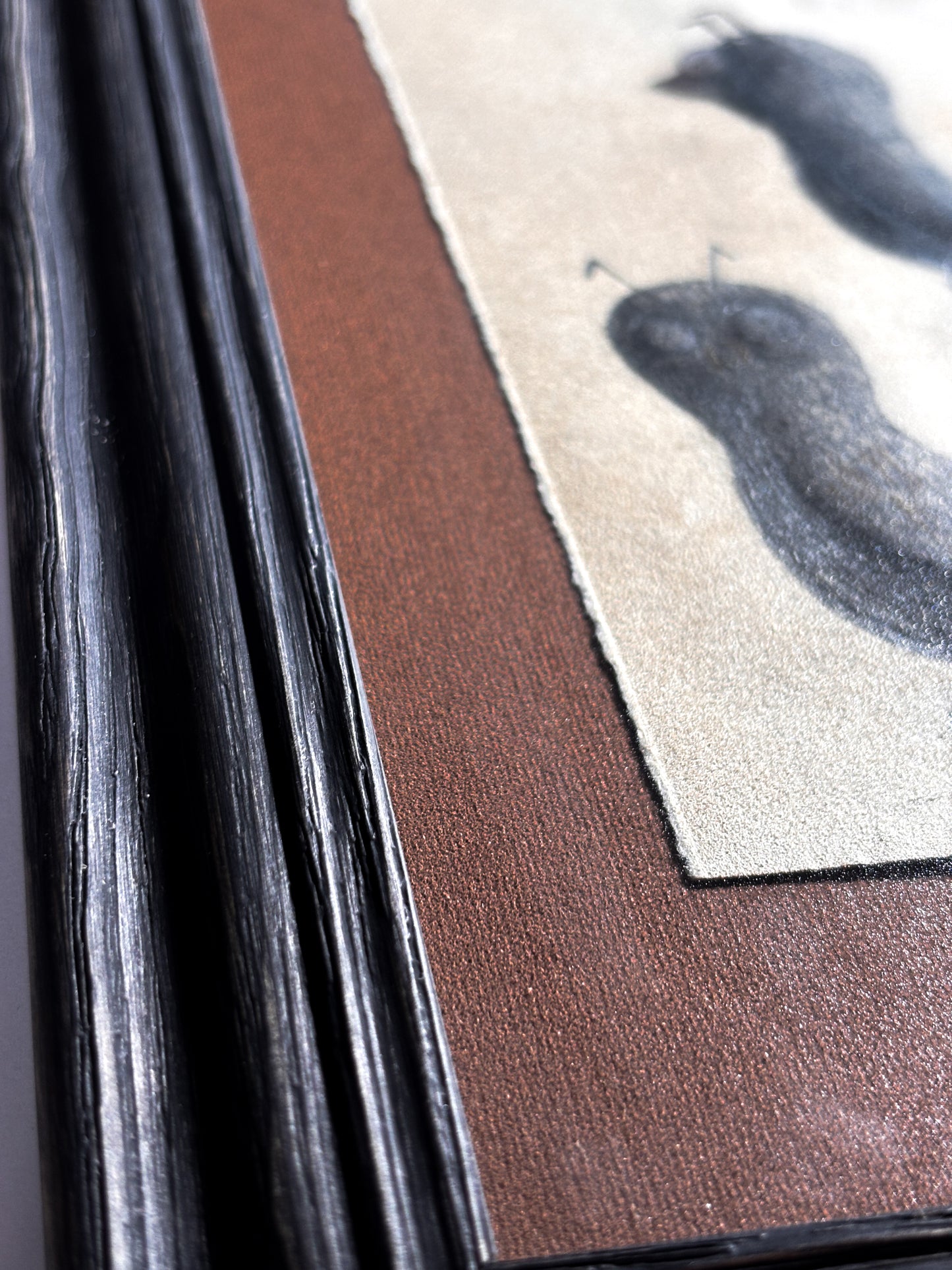 "Antaroo" — Framed Original Illustration