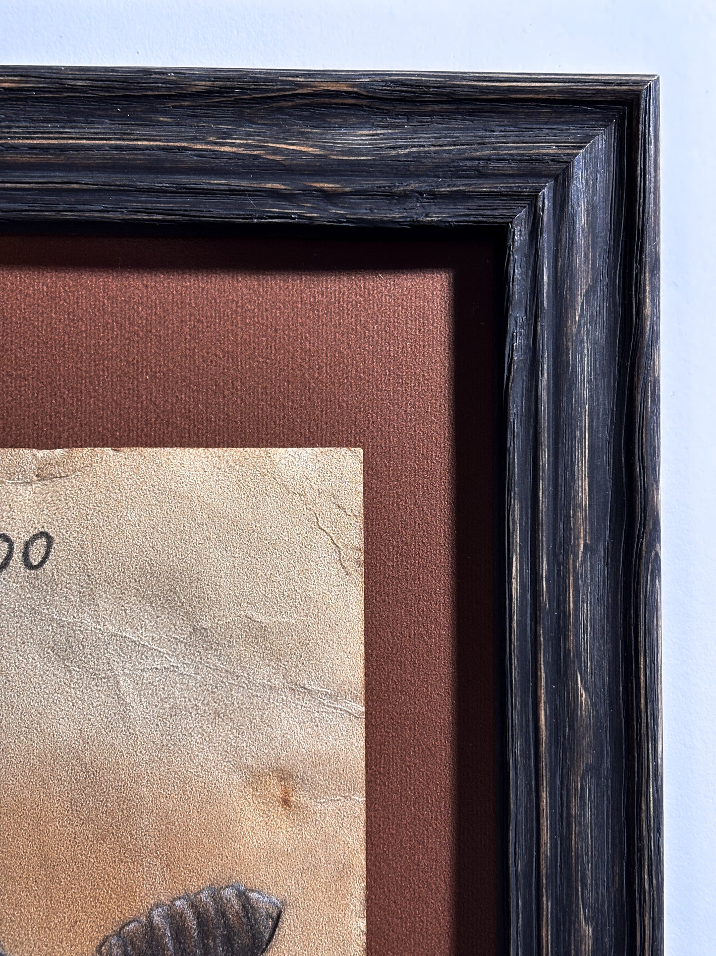 "Antaroo" — Framed Original Illustration